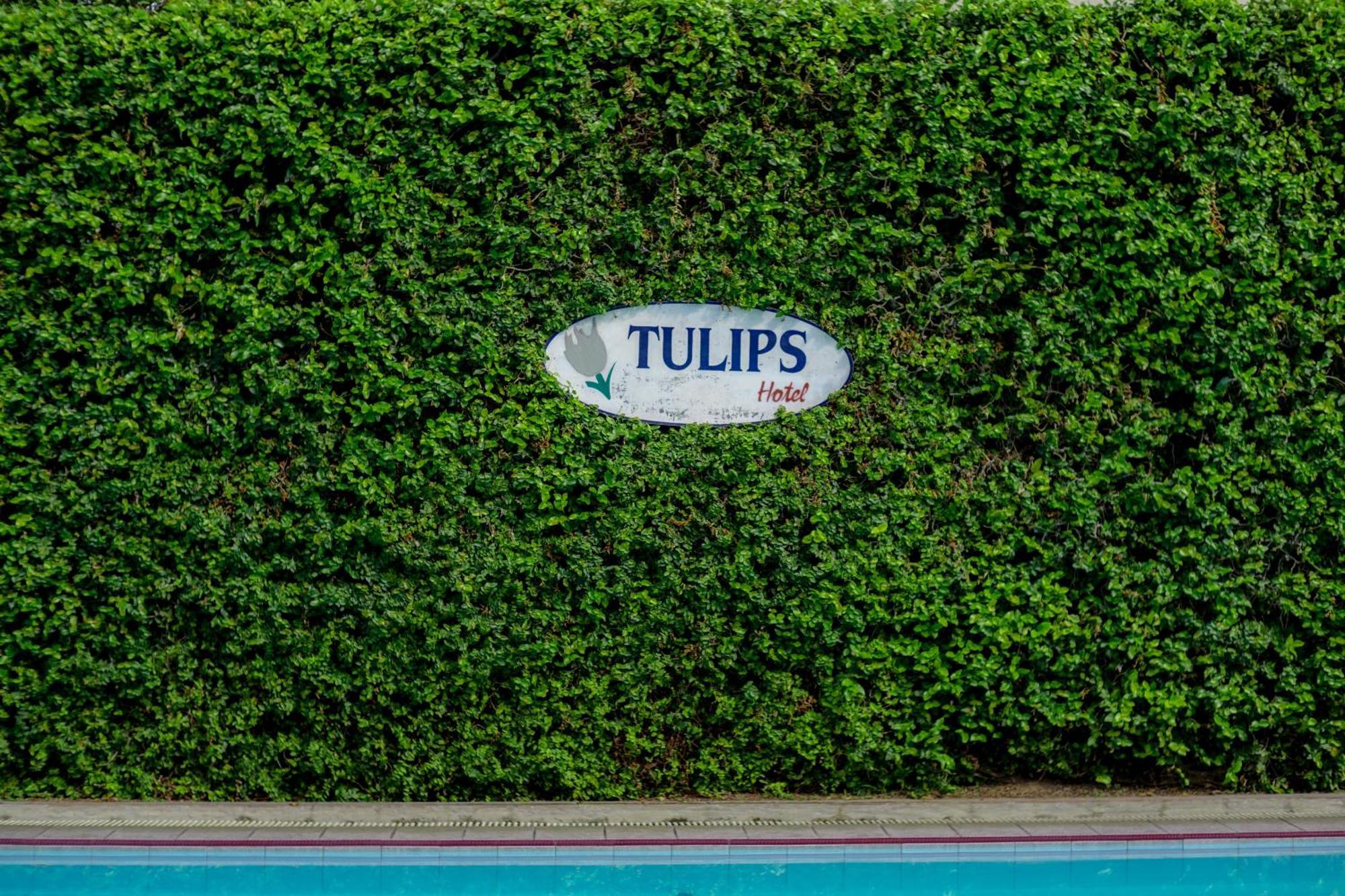 Hotel Tulips Γιογκιακάρτα Εξωτερικό φωτογραφία